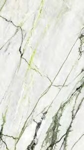 Calacatta Green 120x270 Parlak 04